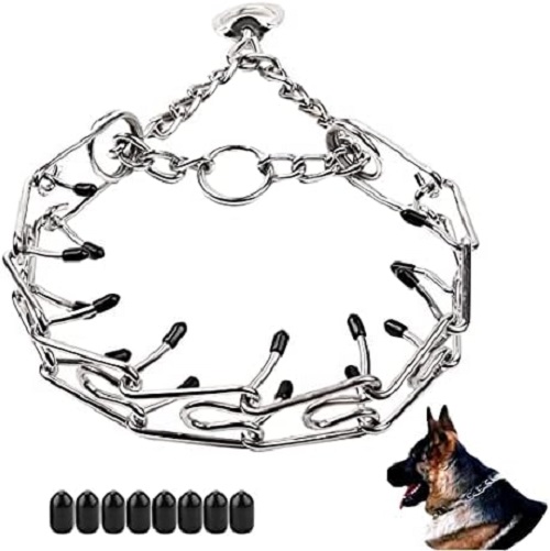 Prong Collars: Understanding Their Purpose and Proper Use插图