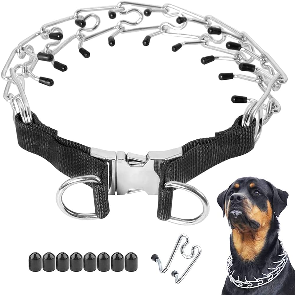 Prong Collars for Large Breed Dogs: Ensuring Control and Safety插图