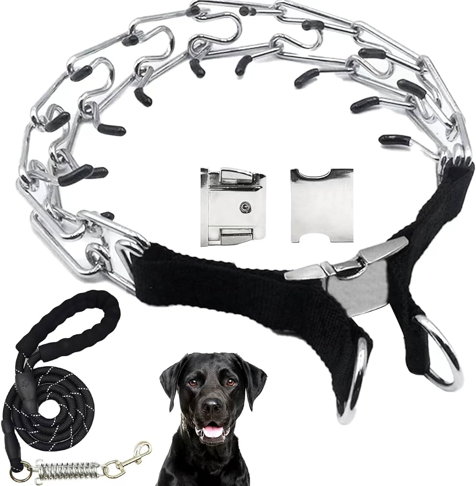 The Role of Prong Collars in Managing Aggressive Behavior in Dogs插图