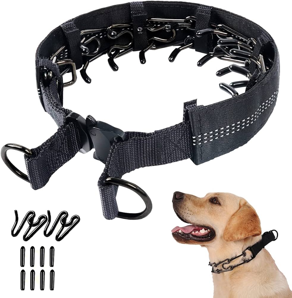 Alternatives to Prong Collars: Exploring Gentle Training Tools插图