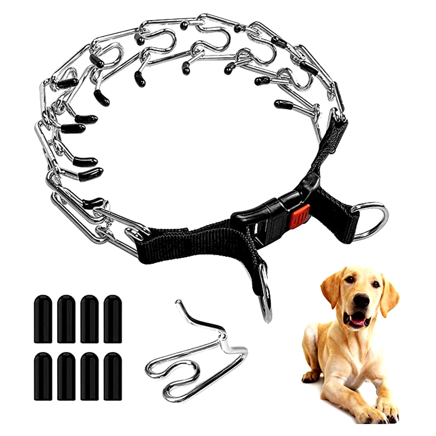 Using Prong Collars for Reactive Dogs: Managing Leash Reactivity插图