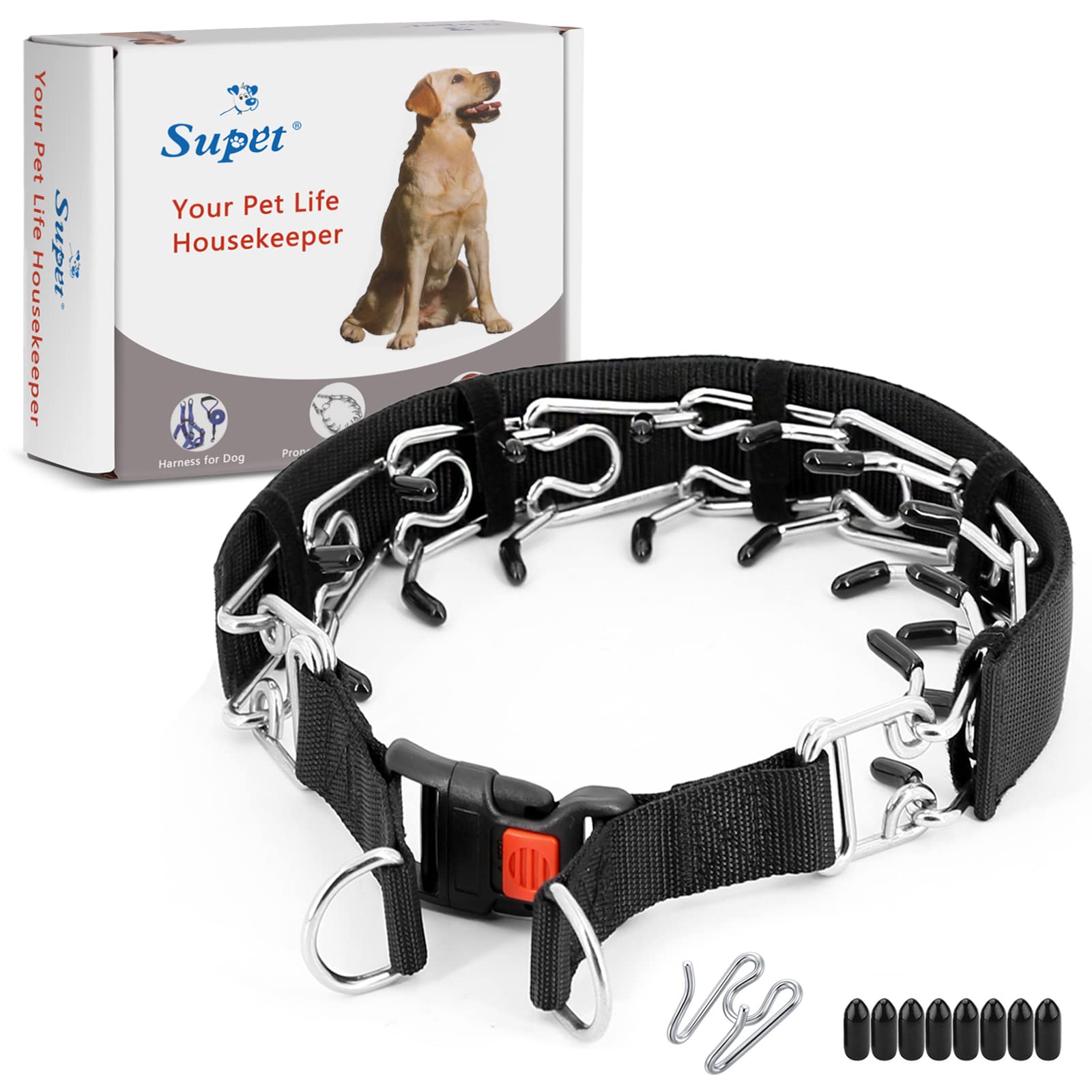 How to Introduce and Properly Fit a Prong Collar for Your Dog插图