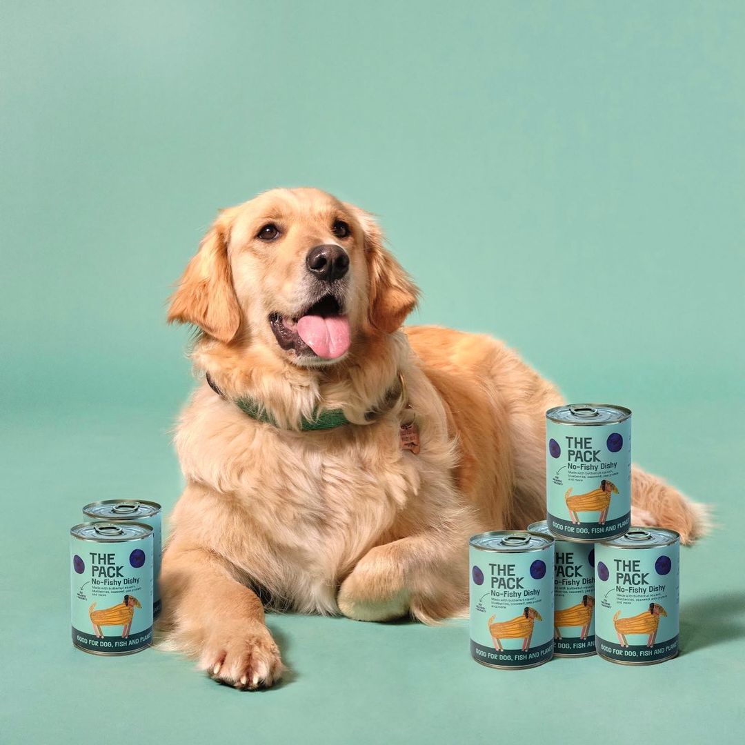 Read more about the article Delving into the Depths: The Benefits of Fish-Based Dog Food