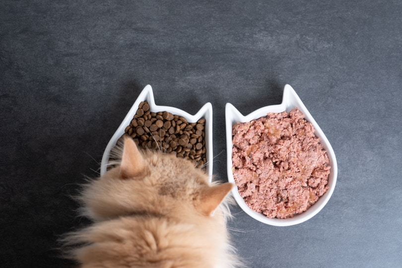 Finding the Perfect Balance: Mixing Wet and Dry Cat Food for Optimal Feline Nutrition插图1