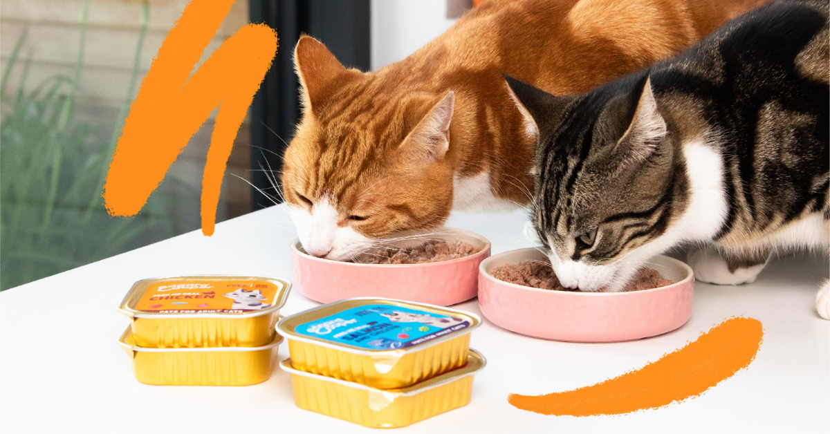 Finding the Perfect Balance: Mixing Wet and Dry Cat Food for Optimal Feline Nutrition插图3