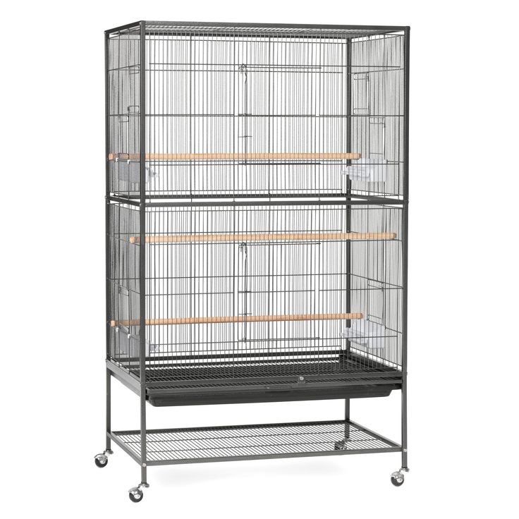 petsmart  bird cages