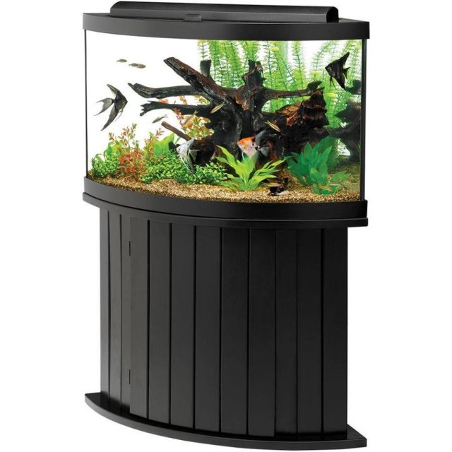 Corner Aquariums with Stands: A Comprehensive Guide插图3