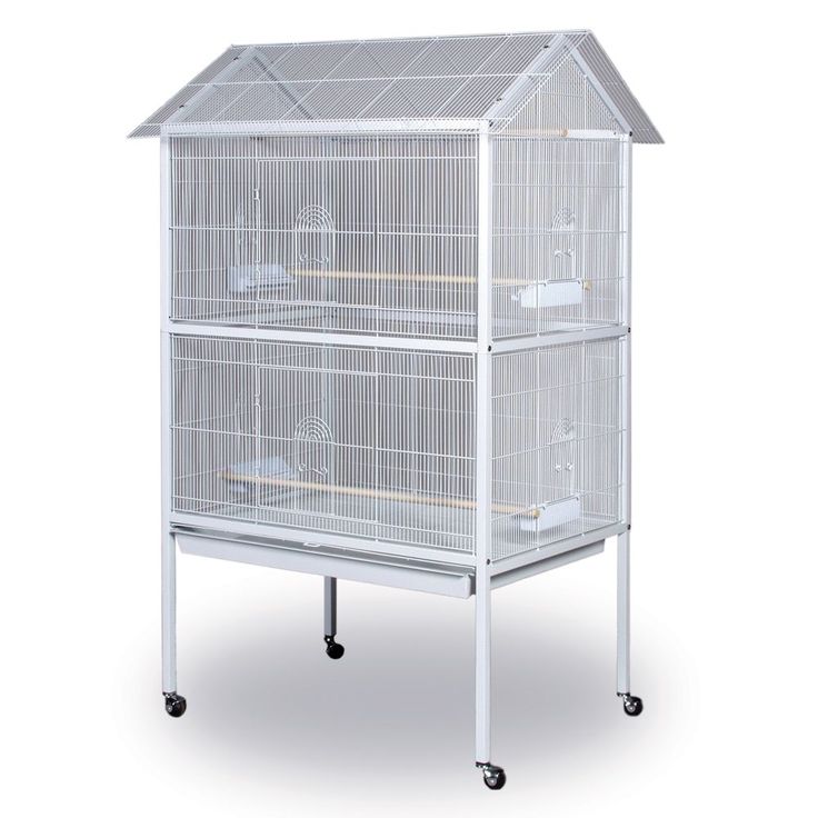 Petsmart Bird Cages: Perspectives on Avian Comfort and Safety插图1