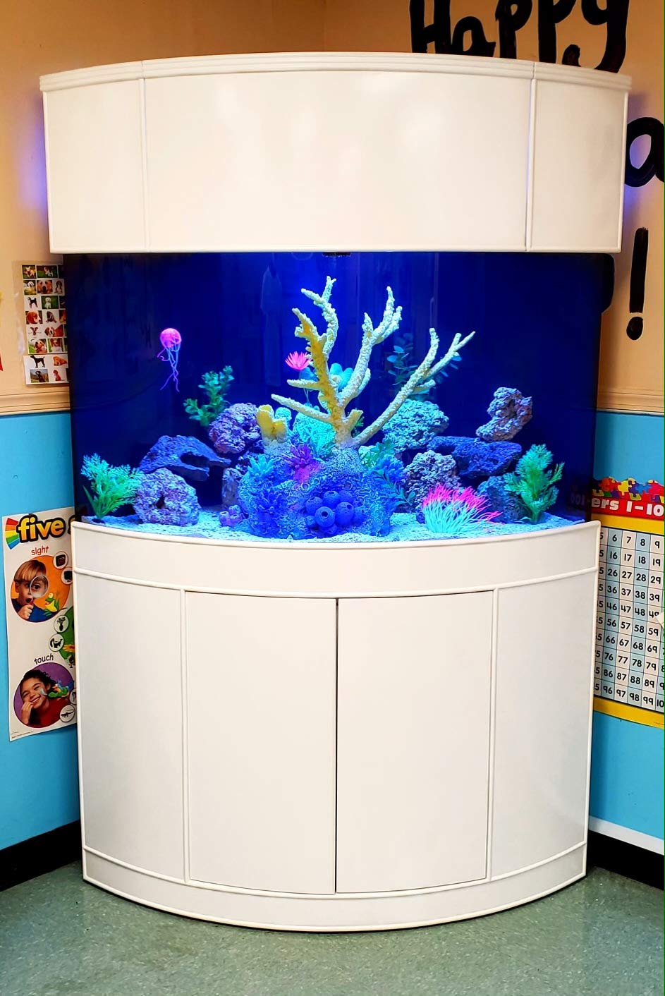Corner Aquariums with Stands: A Comprehensive Guide插图1