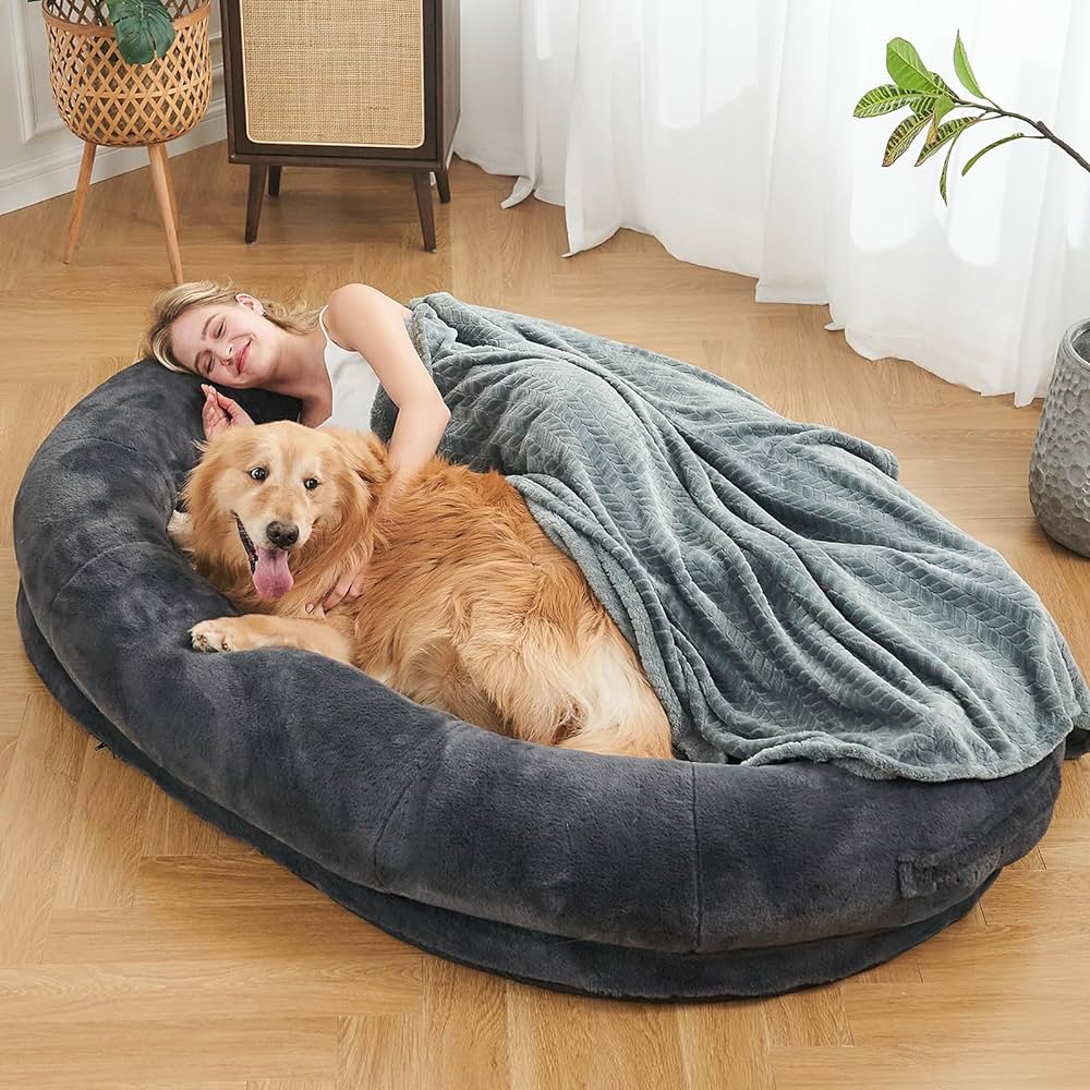 You are currently viewing Comfort: Human-Sized Dog Bed for Your Furry Friend
