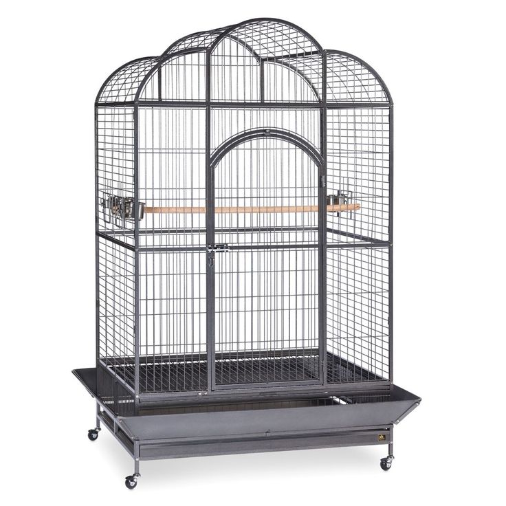 petsmart  bird cages