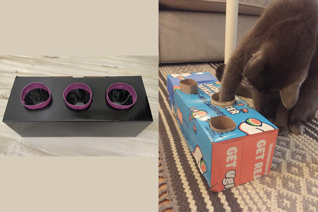 Purrfectly Crafted: DIY Cat Toys for Playful and Happy Felines插图4