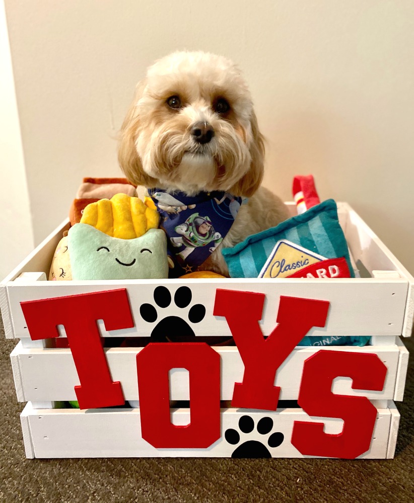 Pawsome Organization: Best Pet Toy Boxes for a Tidy and Happy Home插图3