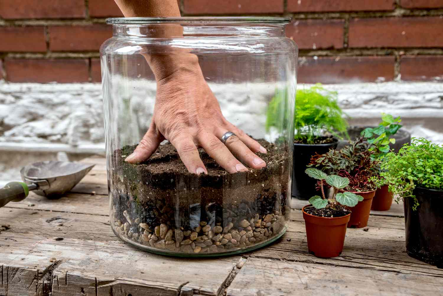 You are currently viewing Creating and Maintaining a Thriving Terrarium: From Choosing Plants to Troubleshooting Common Issues