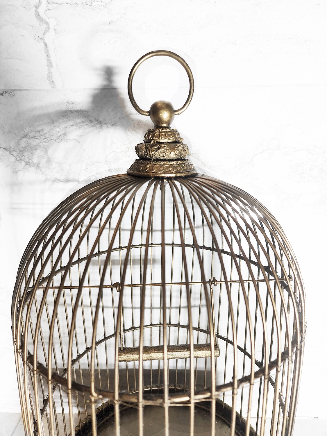 Exploring the Charm: Perspectives on Antique Bird Cages插图4