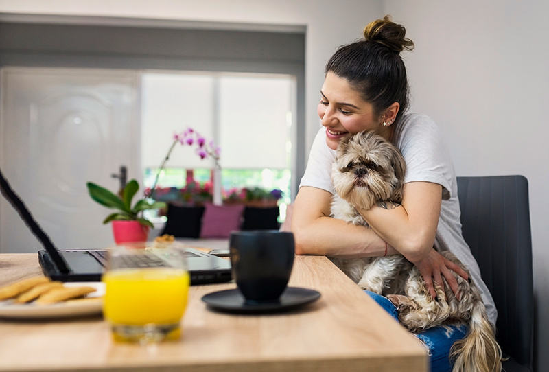 Pet Stress Tests: Understanding Stress in Animals and Utilizing Testing Methods to Ensure Their Well-being插图2