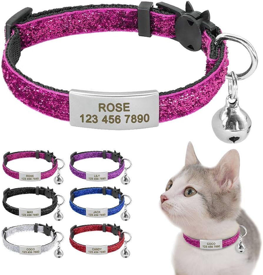 Cat Collars with name tag