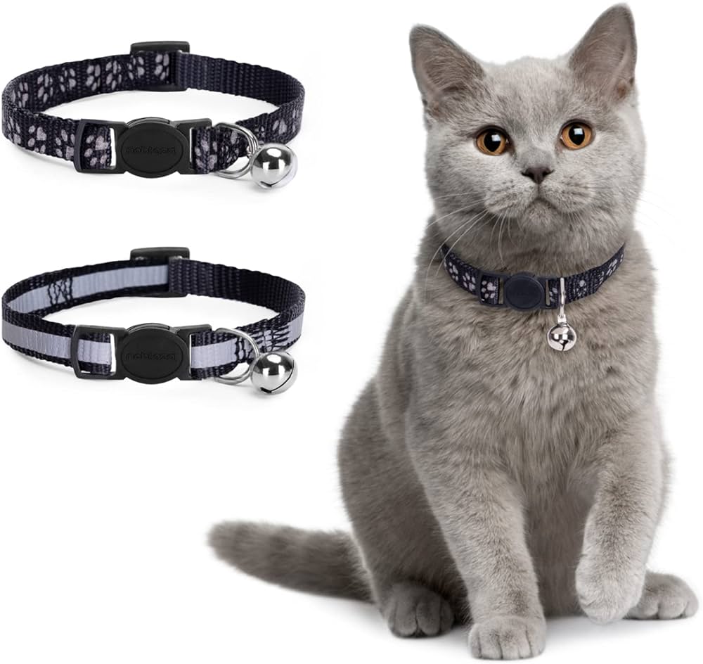 Cat Collars with bell