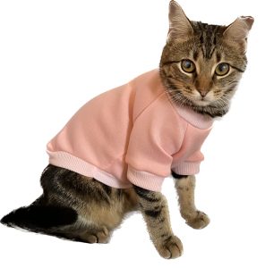 Read more about the article Cat Accessories Clothes