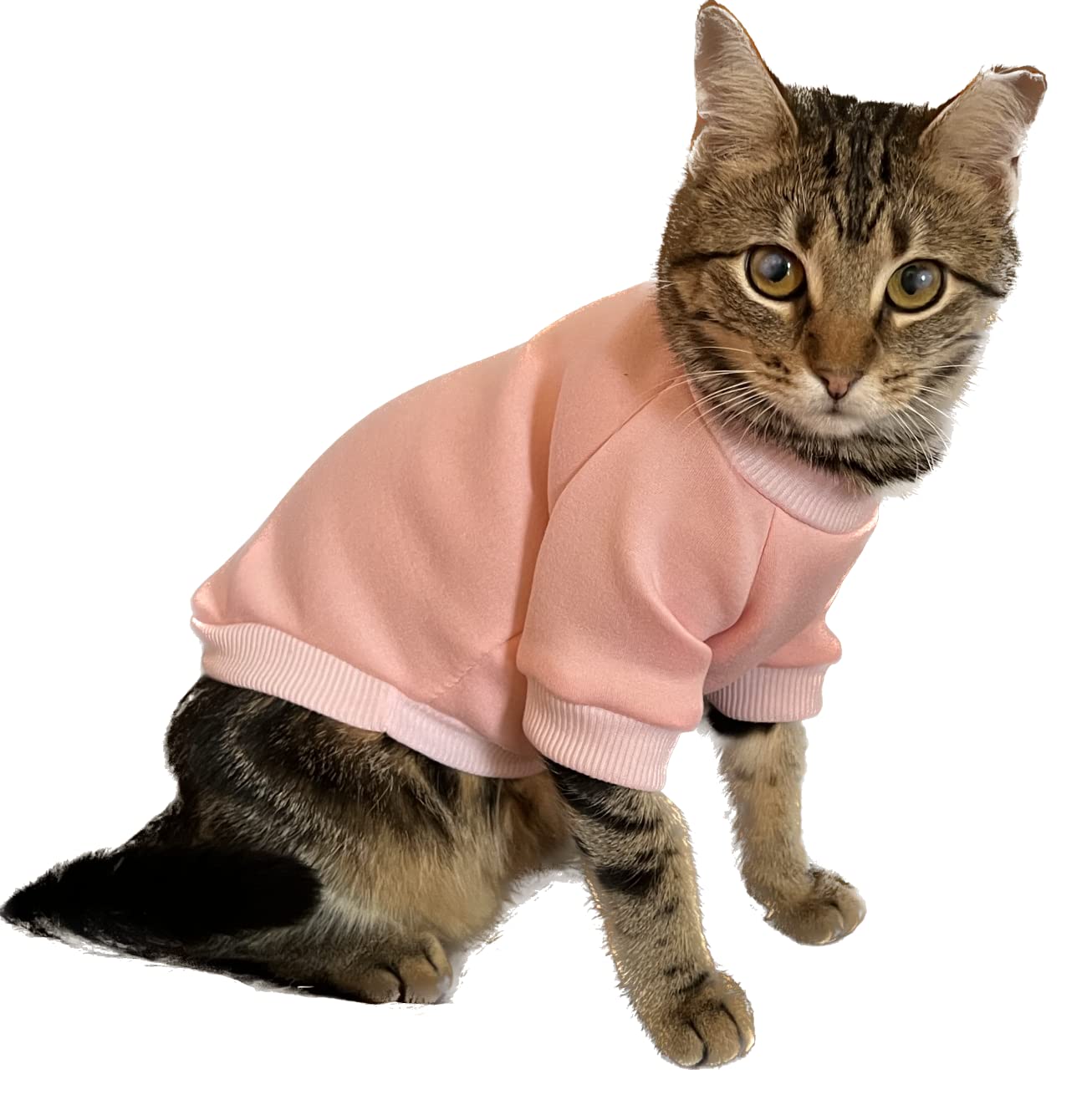 Cat Accessories Clothes插图2