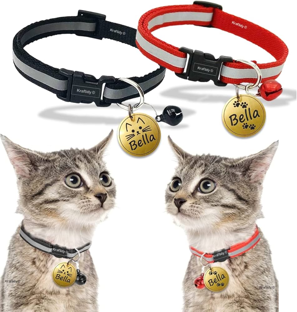 Personalized Cat Collars: A Guide to Name Tag Options and Considerations插图1