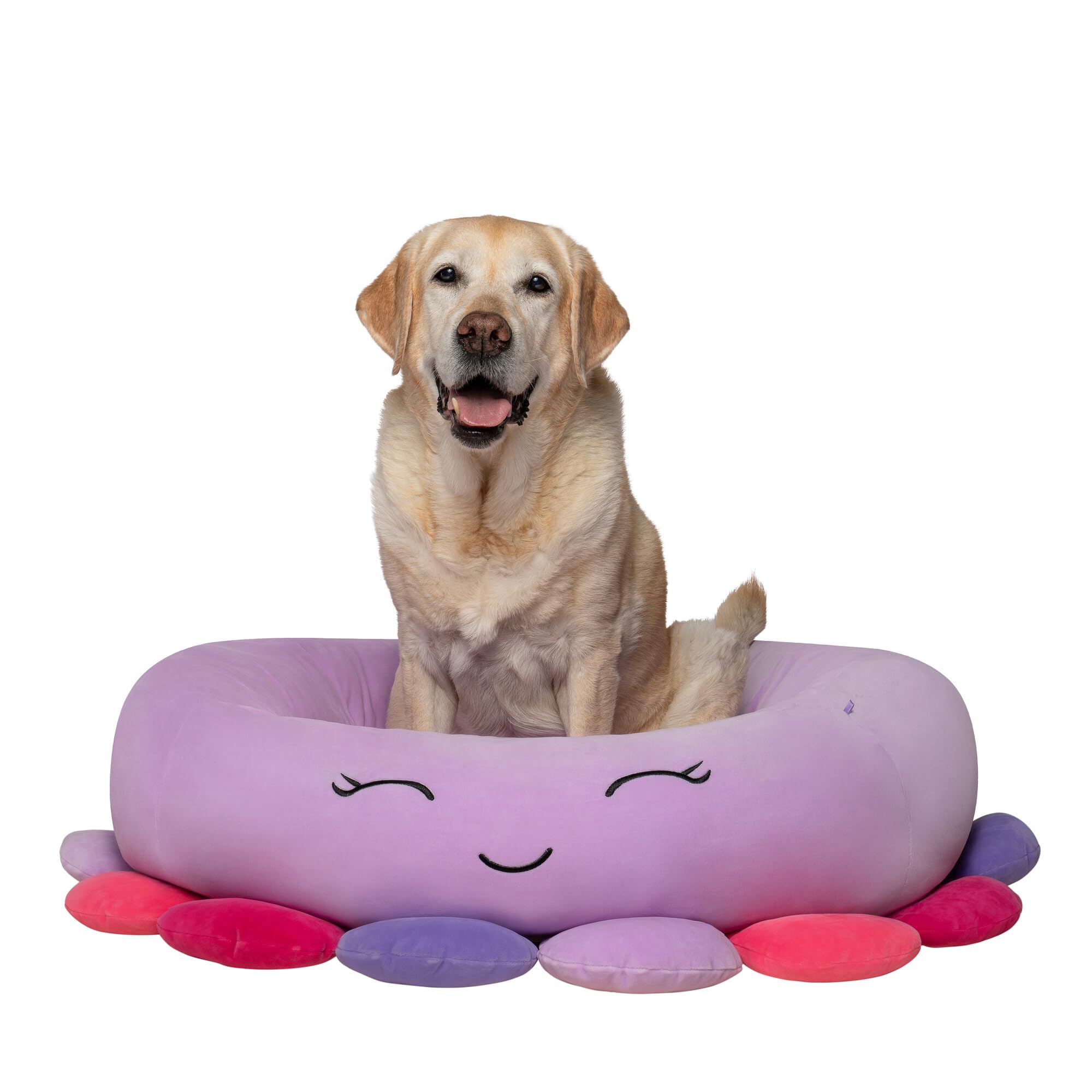 Axolotl Comfort: The Squishmallows Pet Bed for Your Furry Friend插图1