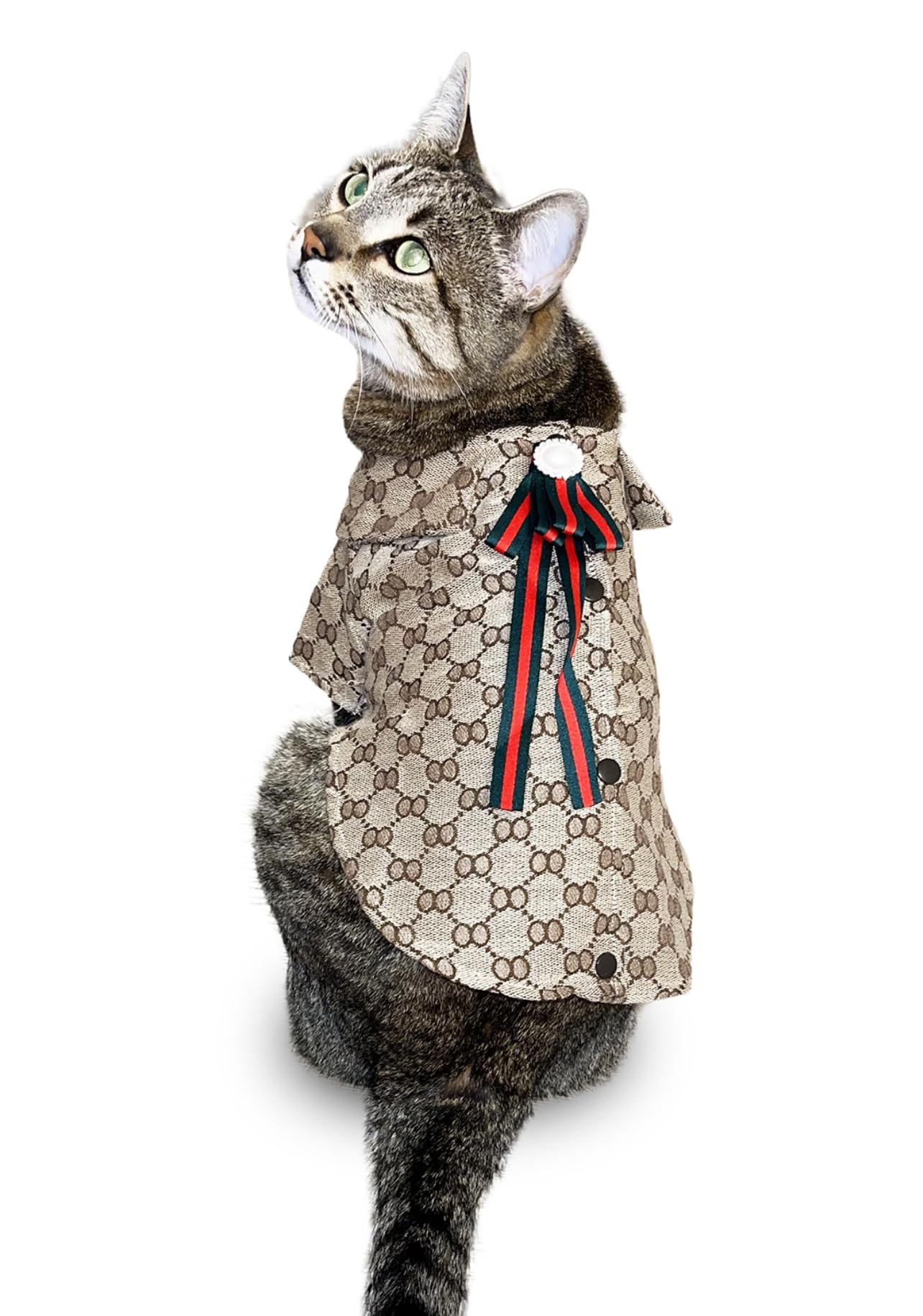 Cat Accessories Clothes插图3