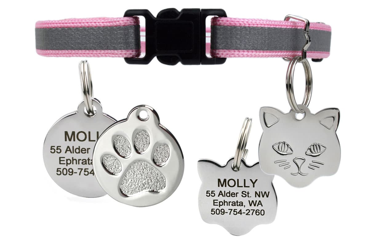 Personalized Cat Collars: A Guide to Name Tag Options and Considerations缩略图