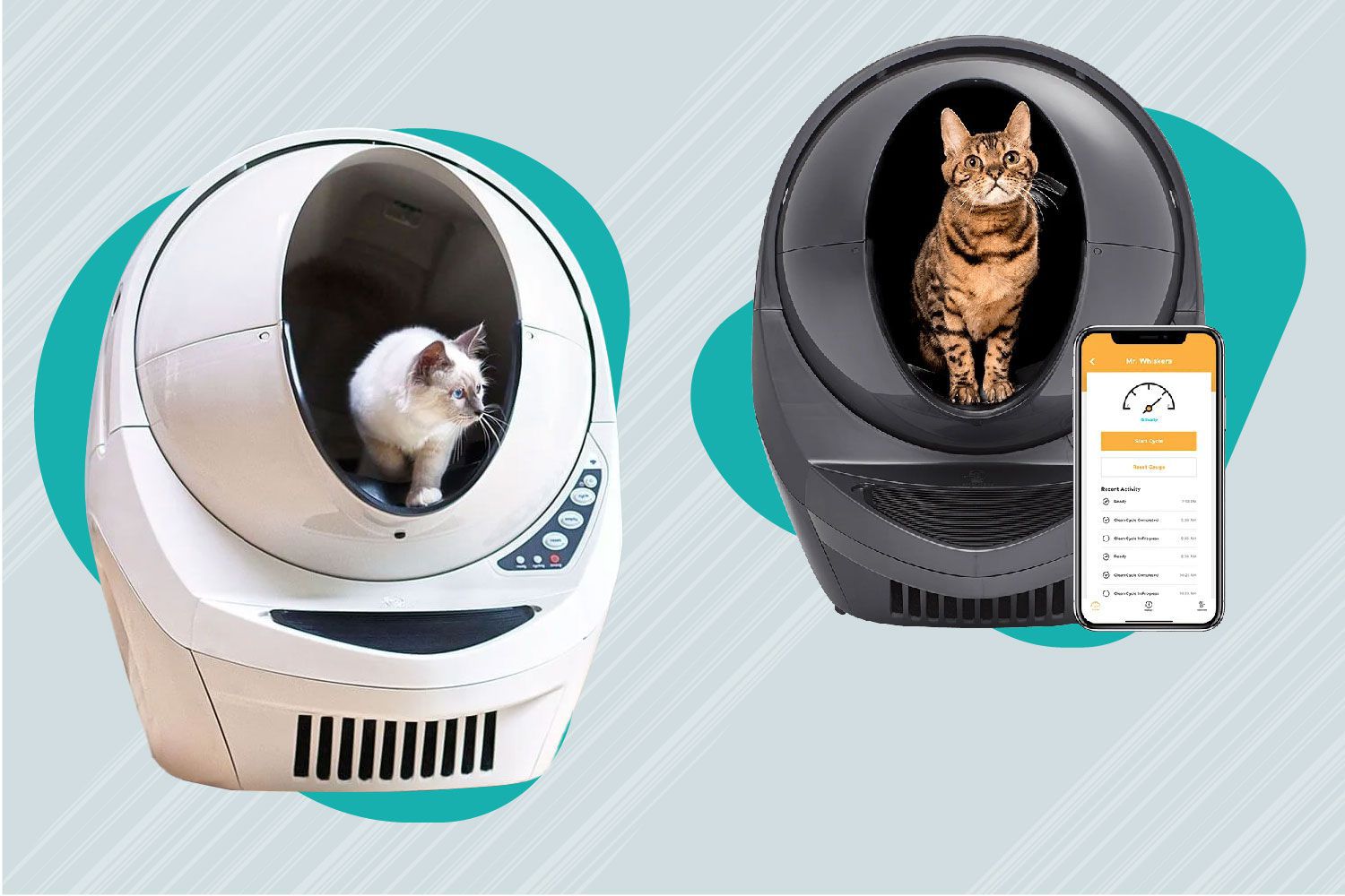 Litter Robot 3: The Ultimate Self-Cleaning Litter Box插图3