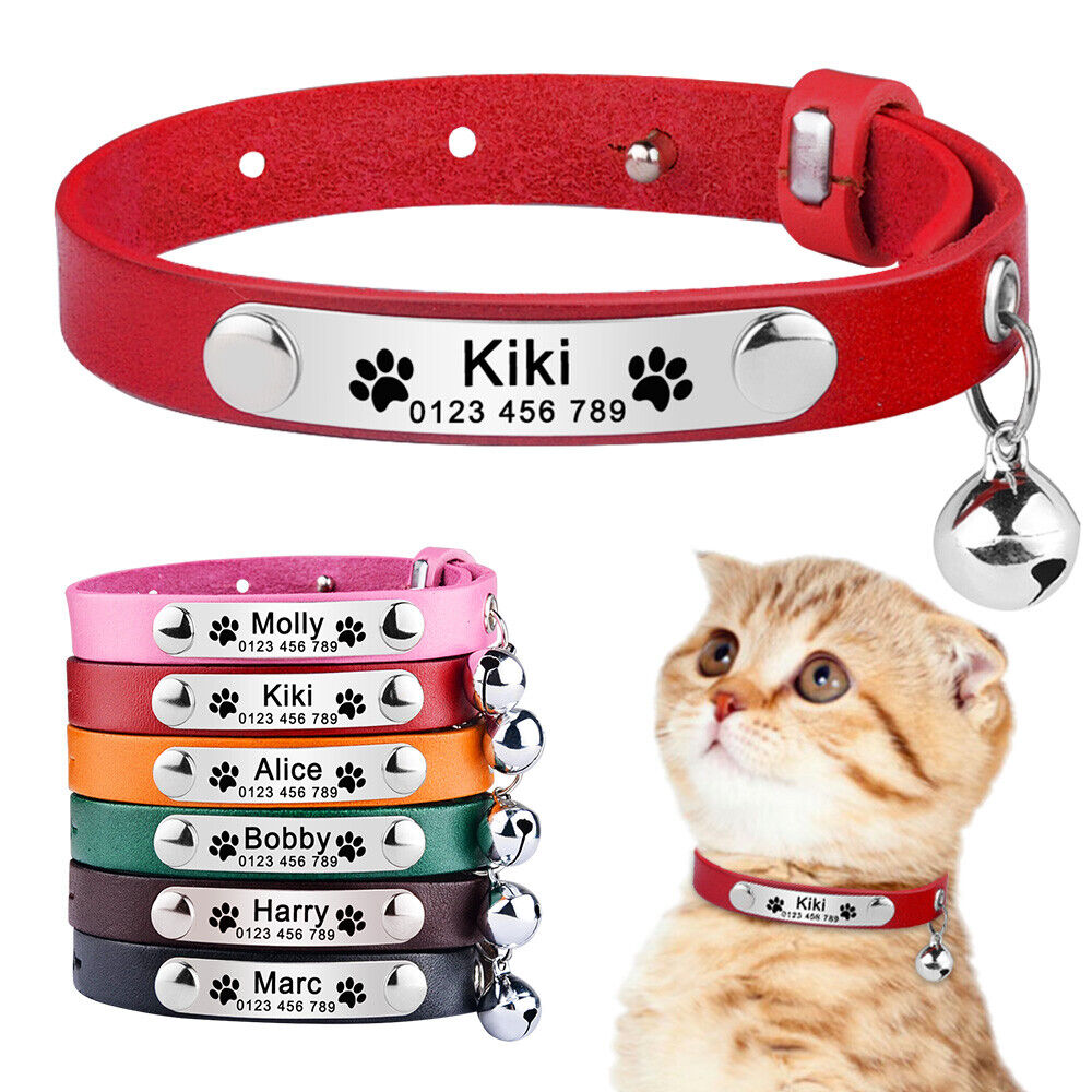 Personalized Cat Collars: A Guide to Name Tag Options and Considerations插图3