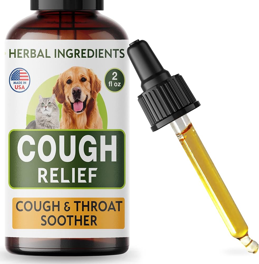 how to cure kennel cough