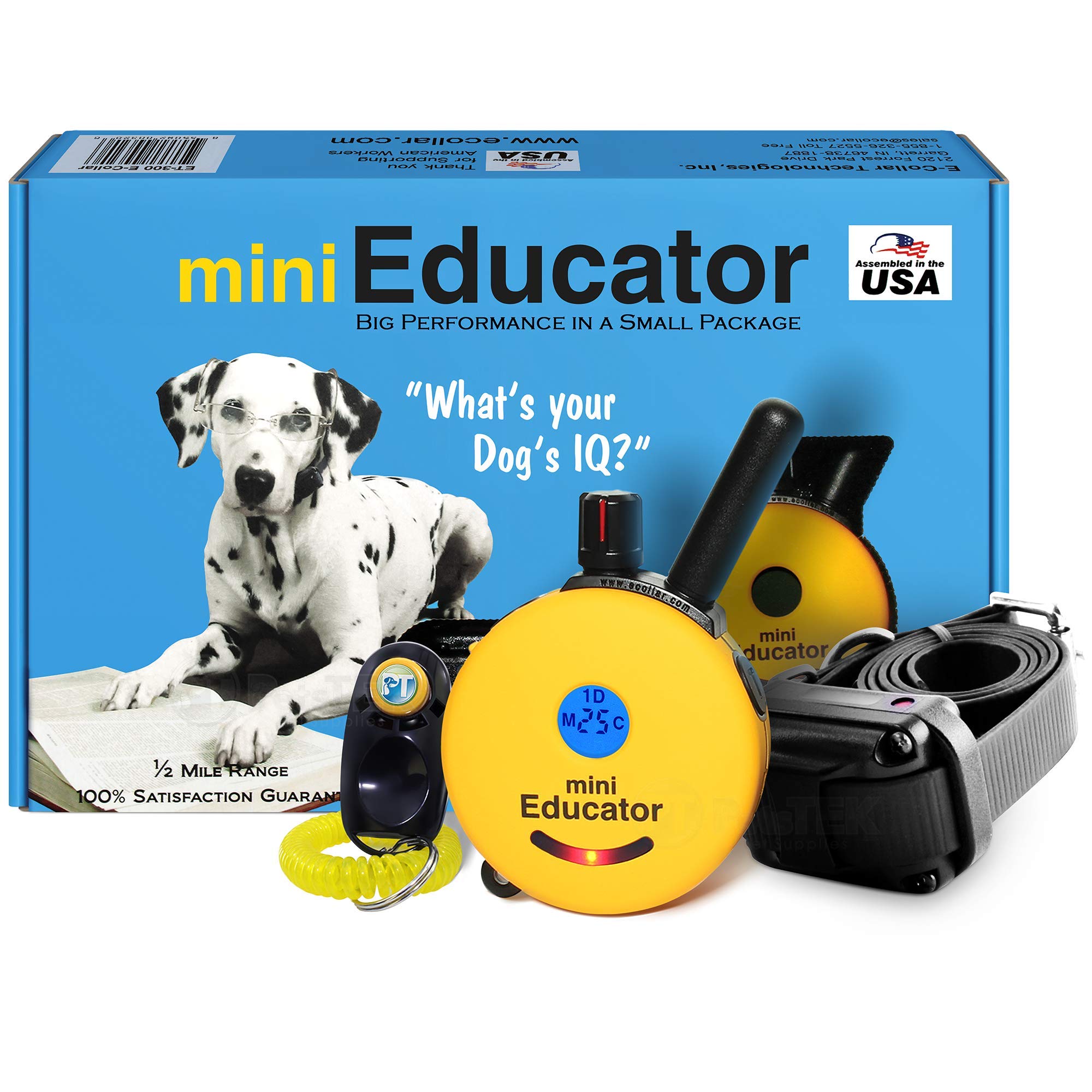 e collar dog training