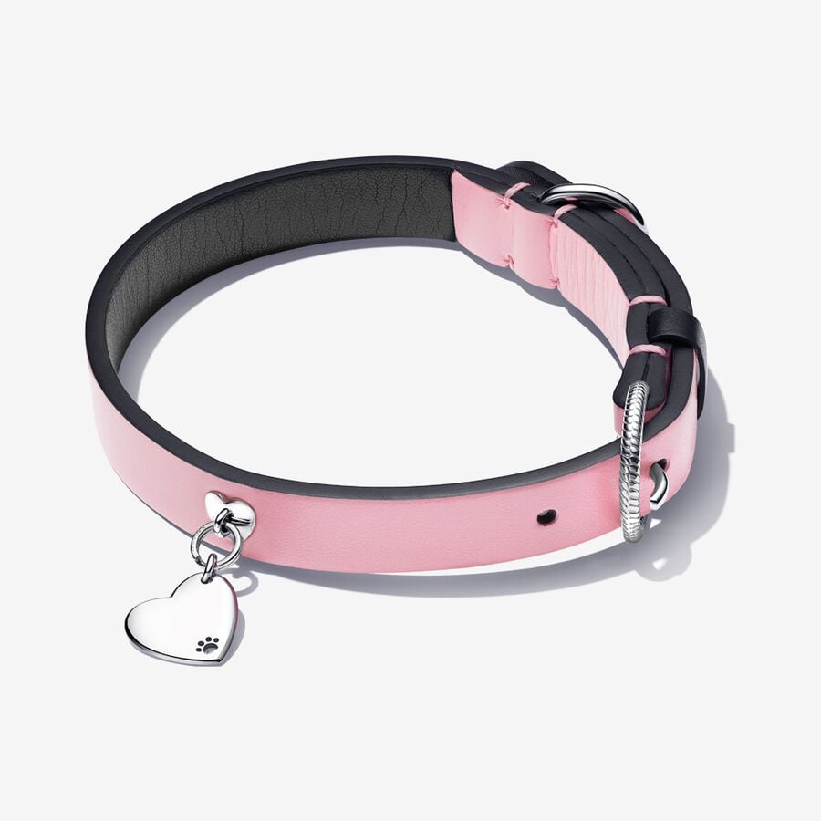 Pandora Dog Collars for Stylish Canine Companion插图3