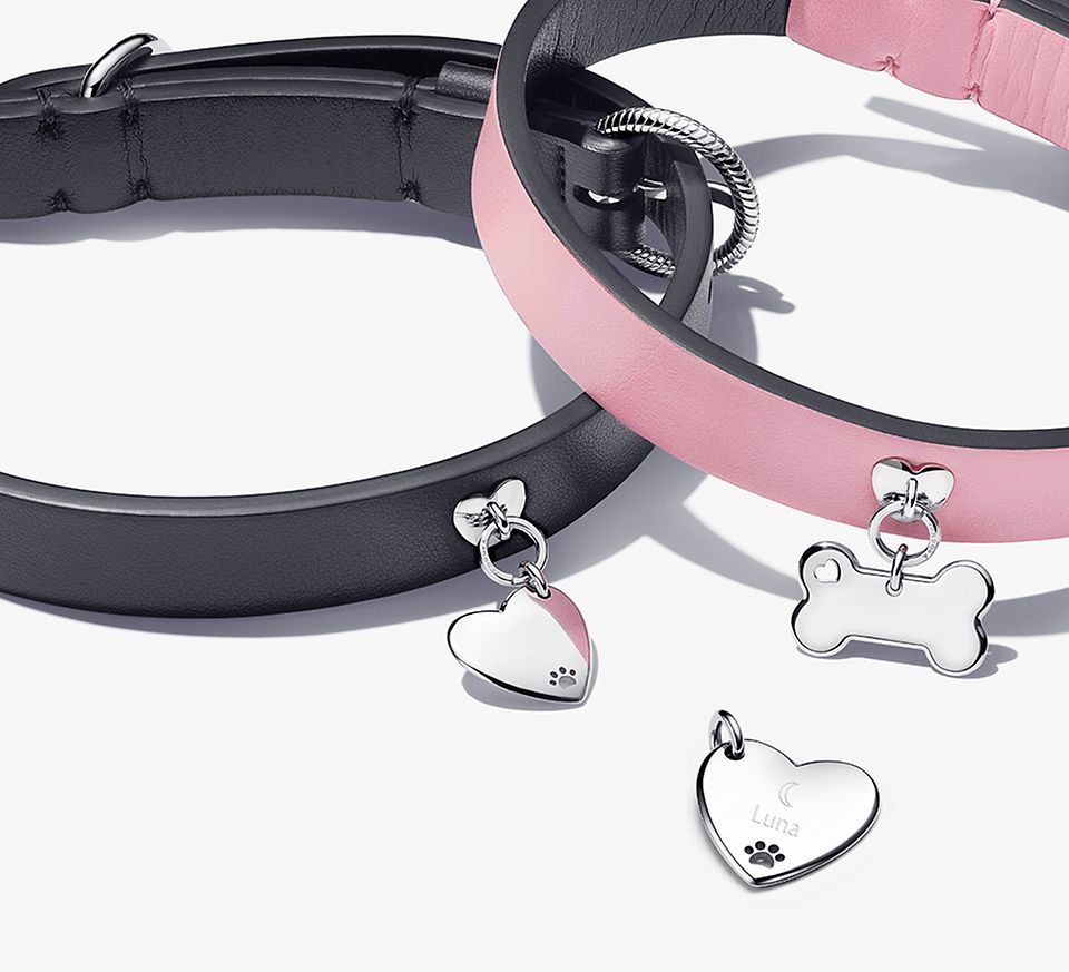 Pandora Dog Collars for Stylish Canine Companion插图4