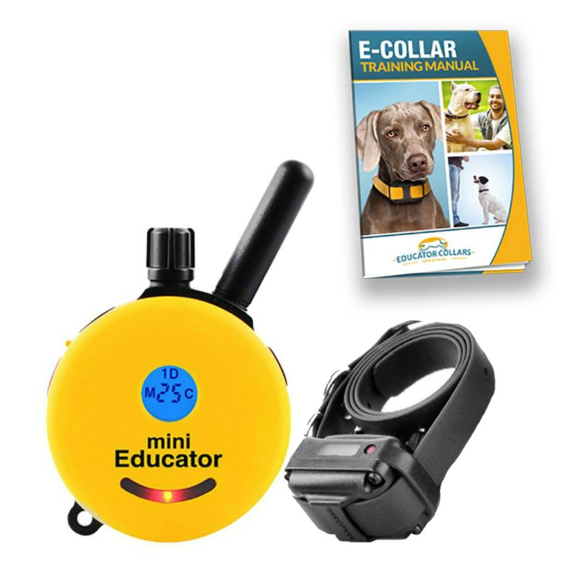 World of E-Collar Dog Training缩略图