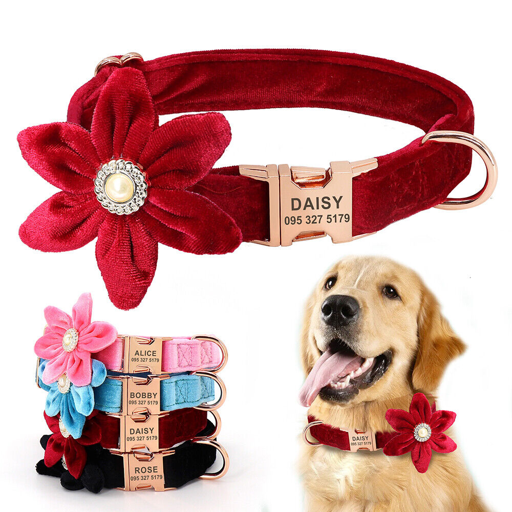 Velvet Dog Collars: A Guide to Exquisite Style and Comfort缩略图