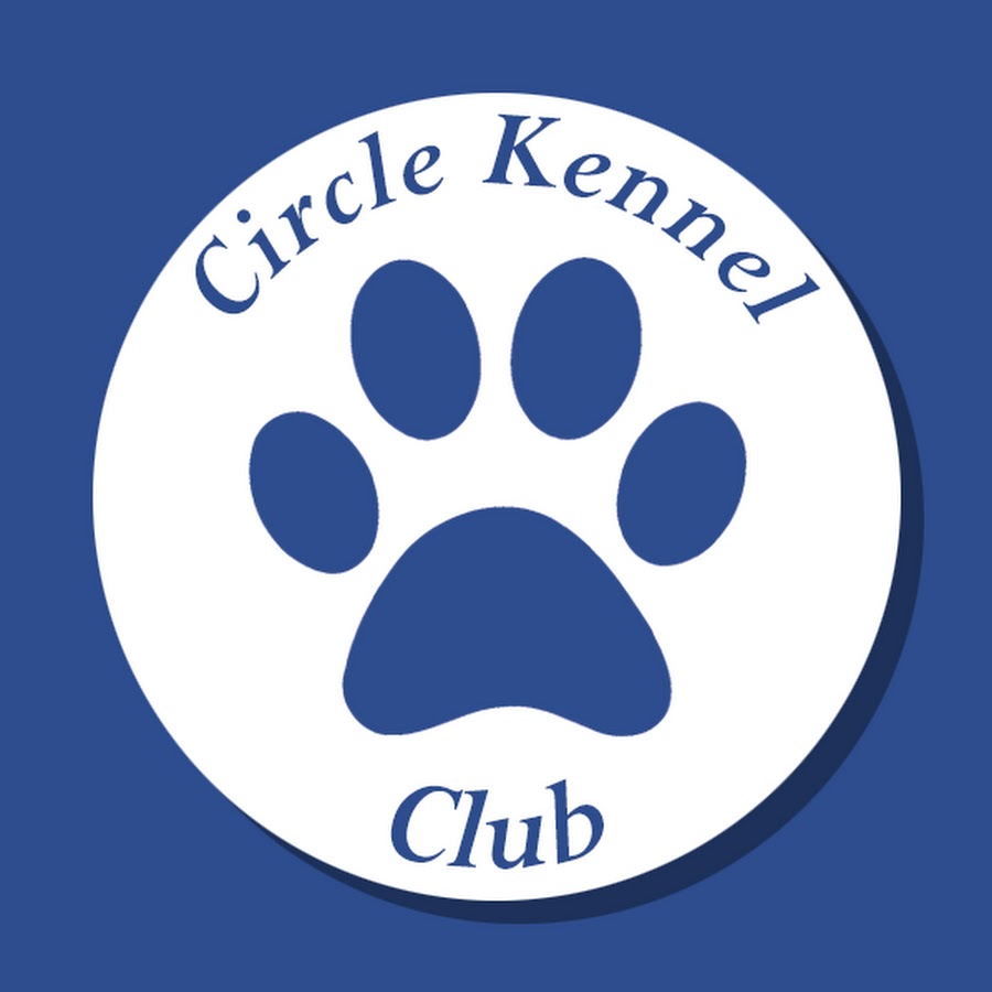 Circle Kennel Club – Your Dog’s Home Away from Home插图4