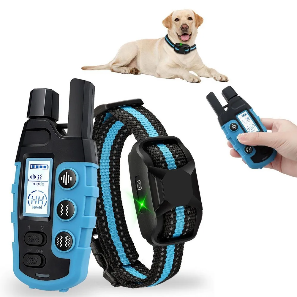 training dog with shock collar