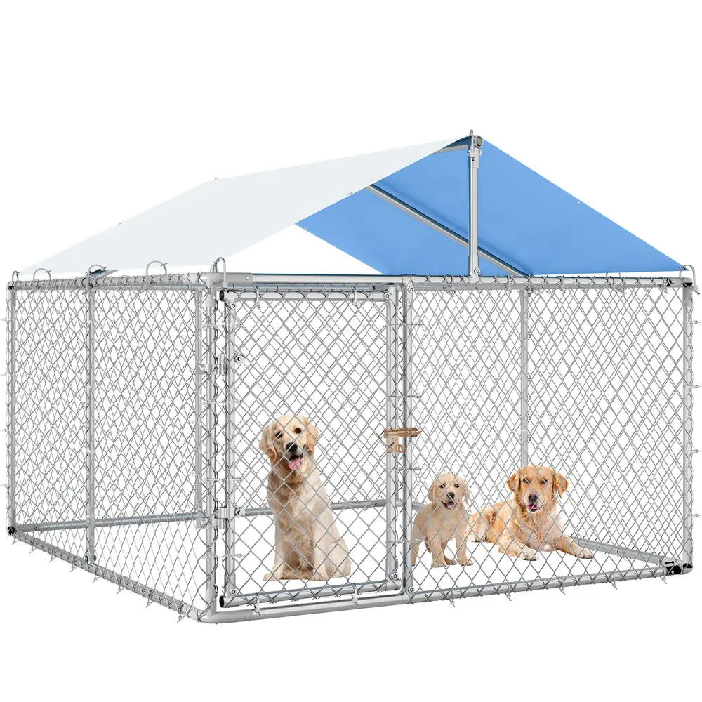 Understanding How Much Does It Cost to Kennel A Dog插图1