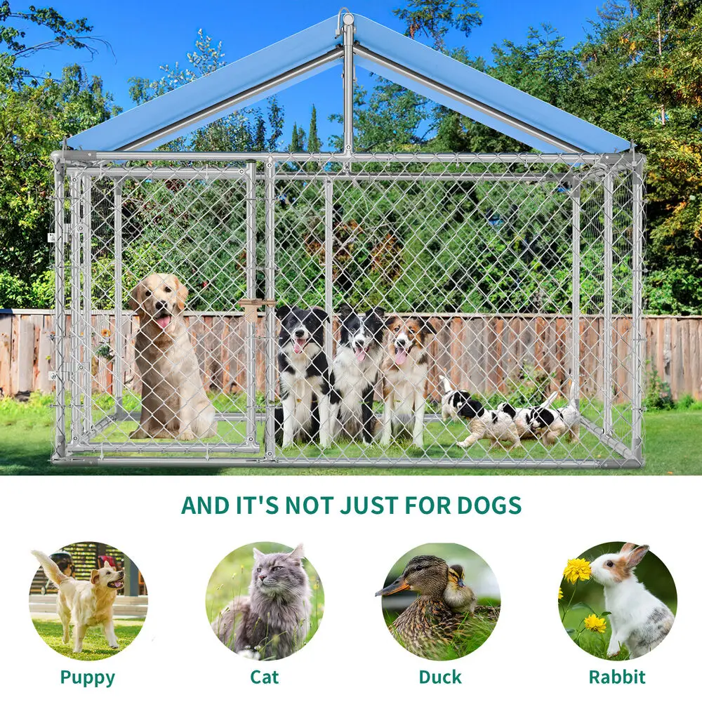 All About Little Paws Kennel: A Haven for Your Furry Friends插图2