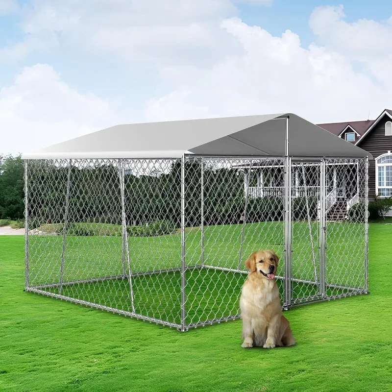 Understanding the Kennel Cost Per Day缩略图