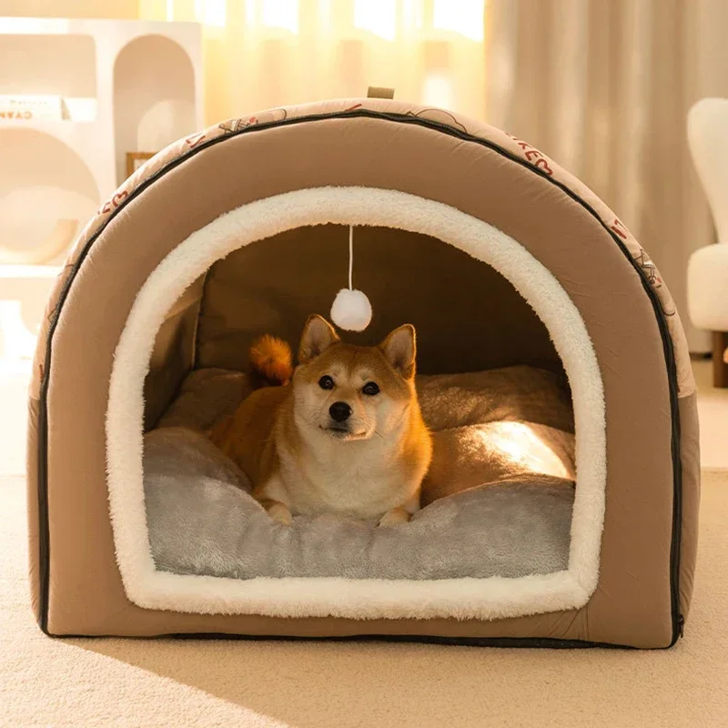 The Sleepy Dog Kennel: A Haven for Our Furry Friends缩略图