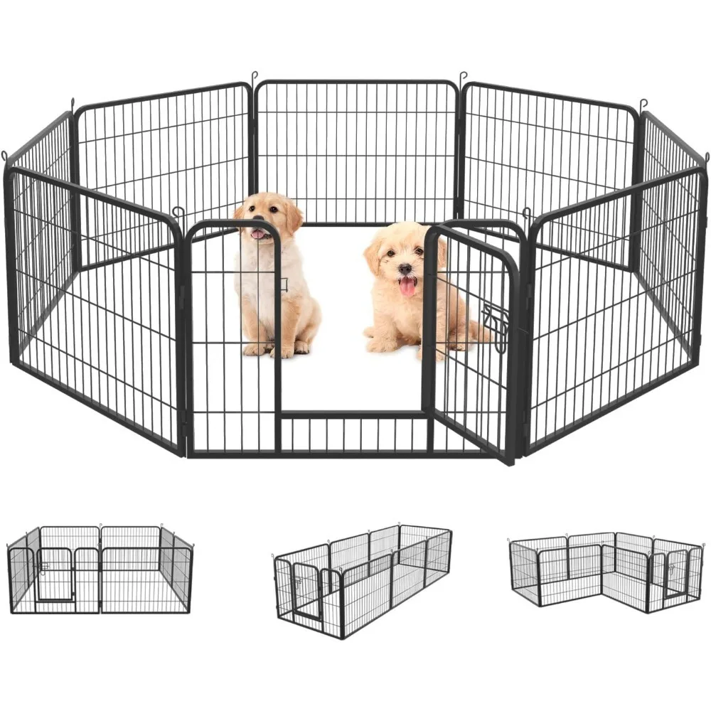 mild kennel cough symptoms