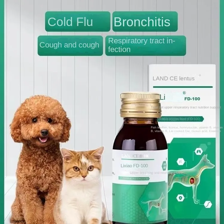 Do Cats Get Kennel Cough Today?缩略图