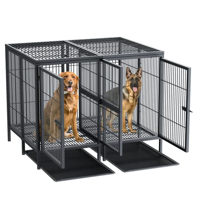 The Importance of The Kennel for Your Canine Companions缩略图