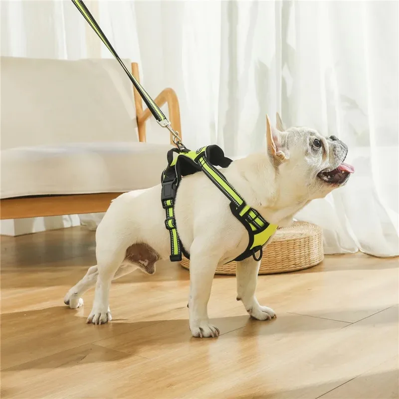 Dog Harness vs Collar: Making the Right Choice缩略图