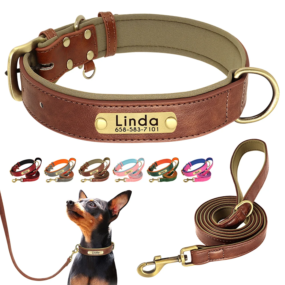 dog harness vs collar