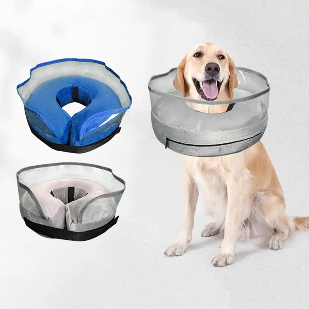 Pool Noodle Dog Collar: A Comfortable Alternative缩略图