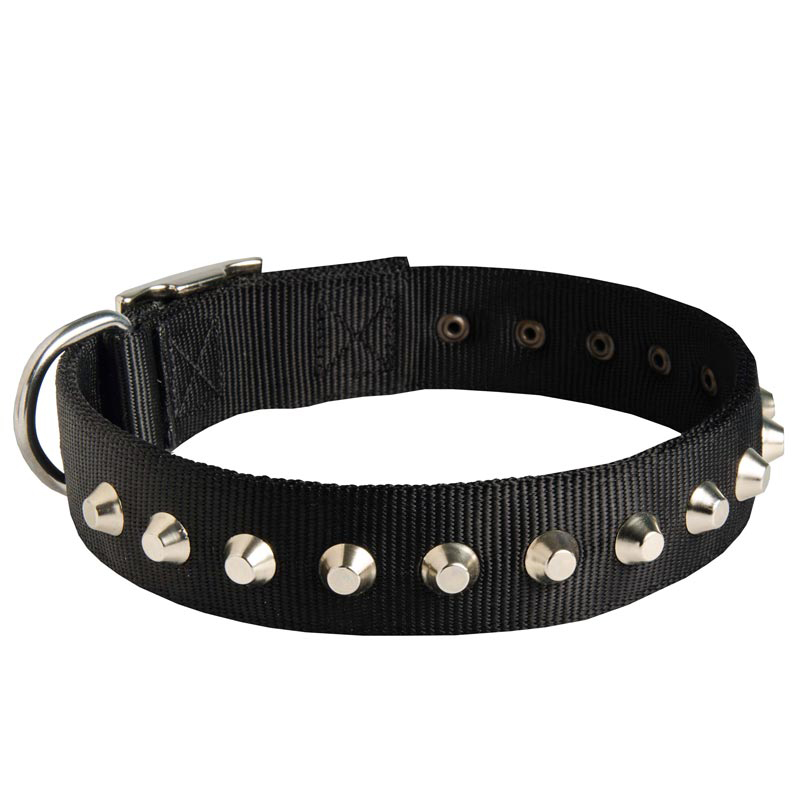 Stylish Dog Collar PNG Designs for Pet Brands缩略图