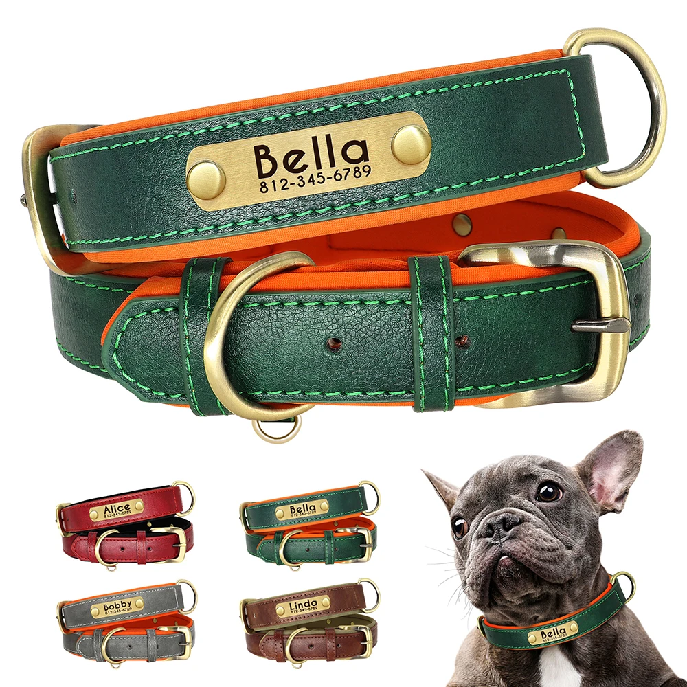 Soothing Solutions for Dog Collar Rash缩略图